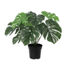 Kunstpflanze Monstera deliciosa