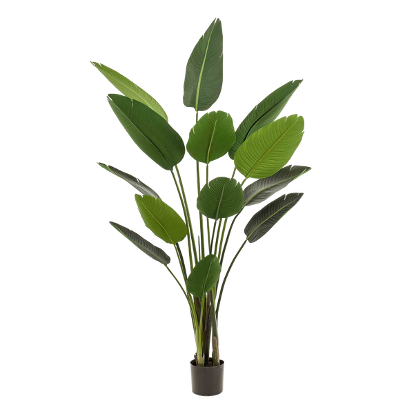 Kunstpflanze - Strelitzia Nicolai - Paradiesvogelblume - 190 cm