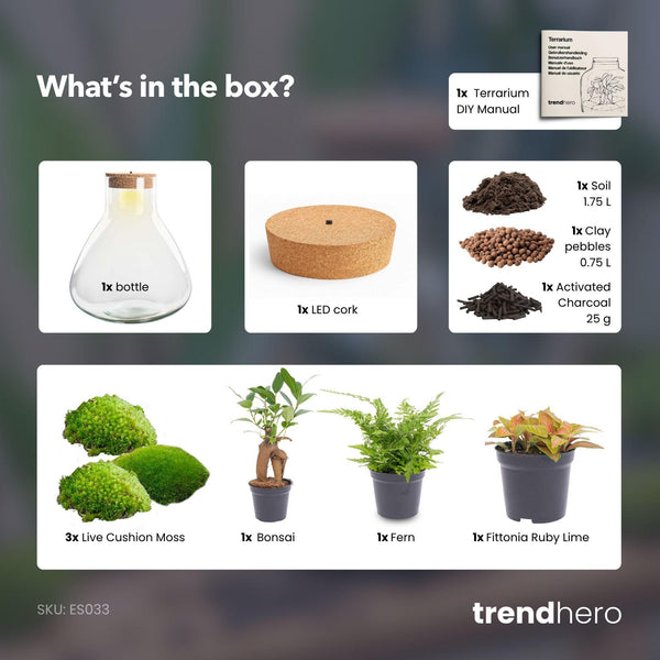 Terrarium-Set „Sam XL Bonsai" – DIY-Pflanzenterrarium mit Licht