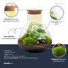 Flaschengarten-Set „Sam XL" – DIY-Terrarium mit Licht – Ansicht 2