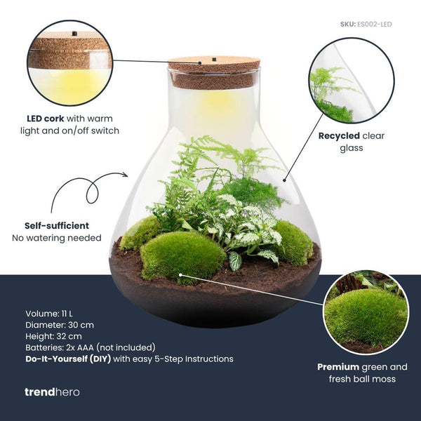 Flaschengarten-Set „Sam XL" – DIY-Terrarium mit Licht – Ansicht 2