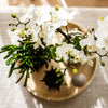 Nachtfalterorchidee - Phalaenopsis - ↕ ca. 40 cm - Ø 9 cm | 3er-Set Slow Living inkl. Keramik-Zierpflanztöpfen