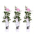 3x Rosa Crazy in Love Pink – ↕ 65 cm – Ø 15 cm