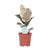Gummibaum - Ficus Elastica Tineke - ↕ 50 cm - Ø 17 cm