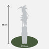 Immergrüne Clematis – Clematis armandii Weiß – ↕ 65 cm – Ø 15 cm