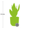 Bogenhanf - Sansevieria Futura Superba - ↕ 25–30 cm - Ø 14 cm | ELHO Vibes Fold Übertopf gelb