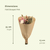 Trockenblumen Feldblumenstrauß Rosa- Ø25cm - ↕60cm - Ø15 - ↨35cm