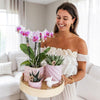 Nachtfalterorchidee - 3er-Geschenkset Bunter Optimismus - inkl. keramischen Ziertöpfen