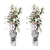 2x Sternjasmin – Trachelospermum 'Star of Ibiza' – ↕ 65 cm – Ø 15 cm