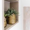 Nachtfalterorchidee - Phalaenopsis - ↕ 25 cm - Ø 12 cm | 2er-Set Groove gold inkl. goldener Keramik-Ziertöpfe