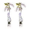 2x Glyzinie – Wisteria sinensis 'Caroline' – ↕ 65 cm – Ø 15 cm