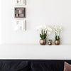 Nachtfalterorchidee - ↕ 35 cm - Ø 9 cm | 2er-Set Home Hub grau klein mit kupferfarbenen Deko-Töpfen & schwarzem Tablett