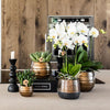 Nachtfalterorchidee - gelb rote Phalaenopsis Orchidee - ↕ 40 cm - Ø 9 cm | Elite Kupfer Topf