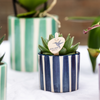 6x Sukkulenten - Mischung aus Sukkulenten - Topfgröße Ø 9 cm | Painted Stripe Übertöpfe