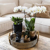Nachtfalterorchidee - Phalaenopsis - ↕ ca. 40 cm - Ø 9 cm | 3er-Set Home Hub inkl. schwarzer Keramik-Ziertöpfe