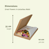 Trockenblumen im Briefkasten Pink - ↕30cm - Multi