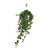 Efeu - Hedera Helix Pitsburg - ↕ 40 - 50 cm - Ø 17 cm