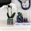 Nachtfalterorchidee weiß – Phalaenopsis Orchidee – Amabilis – ↕ ca. 35–45 cm – Ø 9 cm | Mosa-Ziertopf Blau