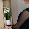 Nachtfalterorchidee - Phalaenopsis Amabilis - ↕ 40 cm - Ø 9 cm | im goldenen Diamant-Dekotopf Ø 9 cm, Höhe 40 cm
