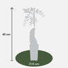 2x Glyzinie – Wisteria sinensis 'Caroline' – ↕ 65 cm – Ø 15 cm