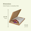 Trockenblumen im Briefkasten Pink - ↕30cm - Pink