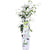 Toskanischer Jasmin – Trachelospermum Star of Venice Weiß – ↕ 65 cm – Ø 15 cm