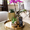 Nachtfalterorchidee - Phalaenopsis - ↕ 40 cm - Ø 9 cm | 3er-Set in lila mit Keramik-Ziertöpfen & Zubehör