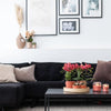 Nachtfalterorchidee - 2er-COMBI-DEAL rote Phalaenopsis - ↕ 40 cm - Ø 9 cm
