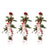 3x Kletterrose – Rosa Crazy in Love 'Red' – ↕ 65 cm – Ø 15 cm