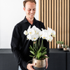 4x Nachtfalterorchidee weiß – Phalaenopsis Orchidee – Ghent – Ø 12 cm – COMBI DEAL