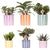 6x Sukkulenten - Mischung aus Sukkulenten - Topfgröße Ø 9 cm | Painted Stripe Übertöpfe
