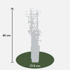 Toskanischer Jasmin – Trachelospermum Star of Toscana Gelb – ↕ 65 cm – Ø 15 cm