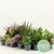 Grüne Mischung Greenss - 24 Stück - ↕ 20 cm - Ø 8,5 cm