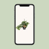Fensterblatt - Monstera Monkey - ↕ 30 cm - Ø 14 cm