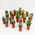 20x Zimmerpflanzen-Mix – LOCK – Ø 5,5 cm