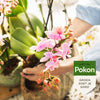 Pokon bio Orchideenfutter 250 ml