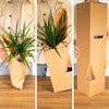 Überraschungsbox – 8 Zimmerpflanzen-Mix – ↕ 25 cm – Ø 12 cm