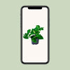 Efeutute - Epipremnum Aureum - ↕ 20 cm - Ø 12 cm