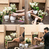 Nachtfalterorchidee weiß – Phalaenopsis Orchidee – Jamaica – ↕ ca. 35–45 cm – Ø 9 cm | Lush-Topf