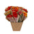 Getrocknete Blumen - Dried Mono Mix - Orange - ↕50cm