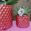 Nachtfalterorchidee - Rote Phalaenopsis-Orchidee Congo - ↕ 40 cm - Ø 9 cm | Red Pearl-Topf