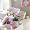 Nachtfalterorchidee - Phalaenopsis Portugal Rosa - ↕ 40 cm - Ø 9 cm