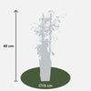 Toskanischer Jasmin – Trachelospermum Star of Venice Weiß – ↕ 65 cm – Ø 15 cm