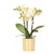 Nachtfalterorchidee - Gelbe Phalaenopsis Orchidee - ↕ 40 cm - Ø 9 cm | Painted Stripe Topf Gelb