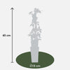 4x Wilder Wein – Parthenocissus tricuspidata Veitch Boskoop – ↕ 65 cm – Ø 15 cm