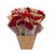 Getrocknete Blumen - Dried Mono Mix - Red - ↕50cm