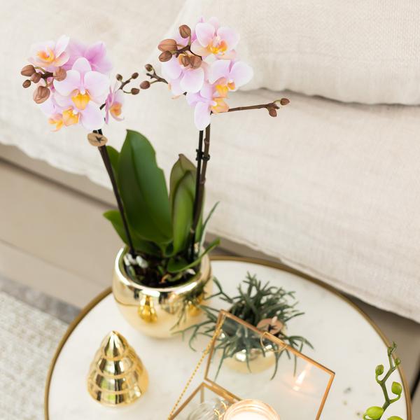 Kolibri Home | Ornament - Dekoration Bild Weihnachtsbaum - Gold