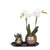 Nachtfalterorchidee - ↕ 35 cm - Ø 9 cm | 2er-Set Home Hub grau klein mit kupferfarbenen Deko-Töpfen & schwarzem Tablett