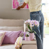 Nachtfalterorchidee - Phalaenopsis Portugal Rosa - ↕ 40 cm - Ø 9 cm