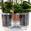 Pflanzenset Weiß – 3x Phalaenopsis Amabilis 9 cm & 3x Grünpflanzen – inkl. Schilfkorb mit Wassertank – Dschungelstrauß Weiß